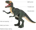 RAINBEAN Remote Control Walking Dinosaur Toy;  Electronic RC Robot Toy with Shaking Head;  Light Up Eyes & Roaring Sounds;  Velociraptor Christmas Bir