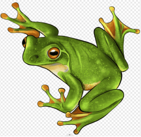 Each Piece Is Animal Shaped Christmas Gift Colorful Elephant Turtle Wooden Jigsaw Puzzles (Option: Style13-A3)